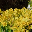 건대역약국 이미지