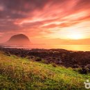 말은 많지만 봄이면 결국 제주! 국내 여행객들이 택한 1위 여행지 이미지