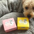 러비퍼피 이미지