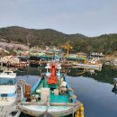 김사부 선박중개소 - 통영시 도산면 | 김사부 선박중개소