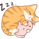 전설의우리만두 이미지