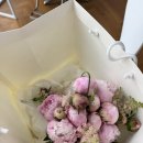 샤벨 | 💍 완도 웨딩스냅 후기｜바다곰스냅 X 포뮤즈, 자연스러운 야외 촬영 끝판왕 🌿🌊