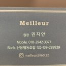 네일메이에르
