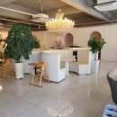 파스타입니다 구미인동점 | "인동에서 찾은 분위기 좋은 파스타 맛집, 미태리 구미인동점 솔직 후기"