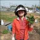 연두농장 이미지