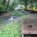 제345차(2024.08.10.) 외산 만수산&amp;만수산자연휴양림(여름야유회) 이미지