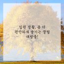 쉼표한의원 이미지