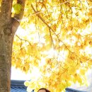 개심사공중화장실화장실 이미지