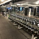 에브리데이짐 이미지