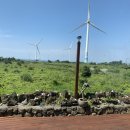 바라기펜션 이미지