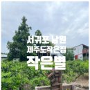 제주도 작은집 | 제주도 서귀포 독채 감성 숙소 제주도작은집 작은별 숙소 후기