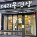 메리몰펫샵 이미지