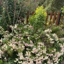 별동산달빛아래 | 청송 한옥숙소, 별동산 달빛아래