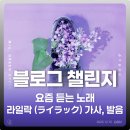 코지Ⅰ | [2025 블챌] 요즘 듣는 노래 | Mrs. GREEN APPLE(미세스 그린애플) - 라일락 (ライラック, Lilac) 가사...