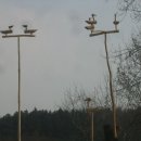 목산