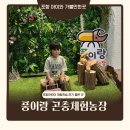 포항곤충농장 | 포항 아이와 가볼 만한 곳 풍이랑 곤충체험농장 실내 체험