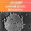 엘시