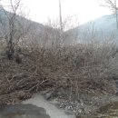 천수농원 이미지