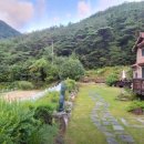 청도분식 이미지