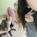 준헤어필 - 서구 문정로 131 | 준헤어필