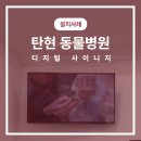 탄현 동물병원 이미지