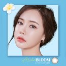 알로하플라워