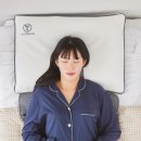 다원솔루션 네이버블로그