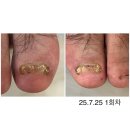 헤이네일 - 나주시 대호길 85-25 | 헤이네일