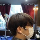 자르시호(ZARSIHO)