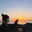 우일 농장 | 함평벚꽃 이쁜곳, 대동저수지에서용천사길,용천사,함평공원 /주포한옥마을 윤슬한옥펜션
