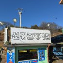 신호등횟집 | 목포 풍자 또간집 선정 맛집_선경준치횟집 내돈내산 솔직후기