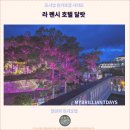 호텔 라와 | 달랏 추천 호텔 : 라 펜시 호텔 달랏 후기