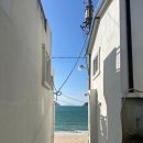 물바람새소리민박 | 국내 섬여행 통영 비진도 자매여행 2 해동민박 포토존 선유봉 트레킹 멧돼지 출현