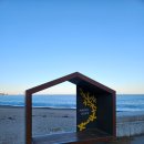 감포거마장 화장실 | 아끼던 경주 차박지 똥된후기