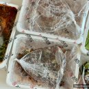 청주 지웰시티 맛집 [귀한족발] : 내돈내산 방문 포장 먹후기