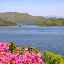 진안-진안-비상-25 이미지