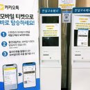 펫클라우드 | 반려견동반제주여행 완도 제주 왕복 배편 골드스텔라 실버클라우드 펫룸 이용후기