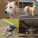 돌무덤농장 이미지