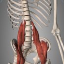 칠원체육관 이미지