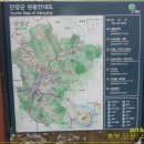 충북,단양/소백산(칼바람 맞고 왔어유) 이미지