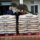 표선리-5 이미지