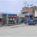 대마1리 이미지