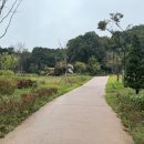 하늘초롬 이미지