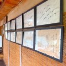 쌍둥이네 애견 이미지