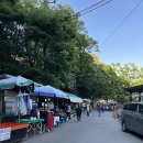 도봉-도봉-서울도봉-2022 이미지