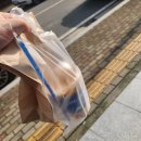 알리바이 첨단2지구점 | 광주 북구 │ 광주커피맛집, 계란과 군고구마 &#34;청자다방 첨단2지구점&#34; 내돈내산 후기