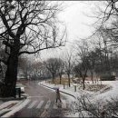 유스호텔 진입로  유스호텔 이미지