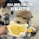 왈왈시즈닝 이미지