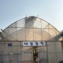 잉꼬농장 | 파주 나눔농장 체험 후기 ㅣ 아이와 가볼만한 곳, 동물교감, 먹이주기 체험 추천