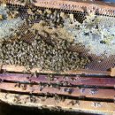 보운농장 이미지